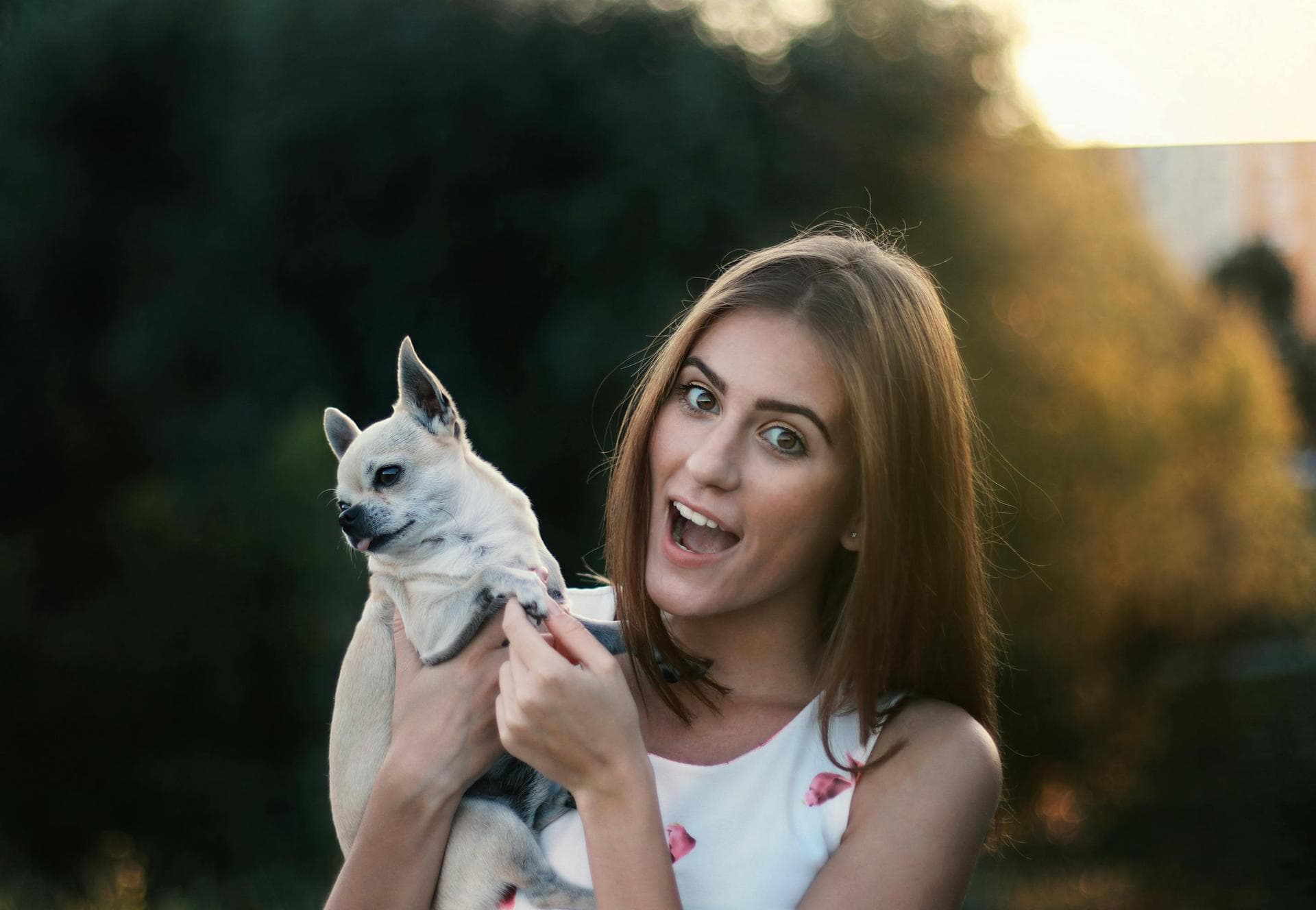 Dog & Cat Vets in Tijeras