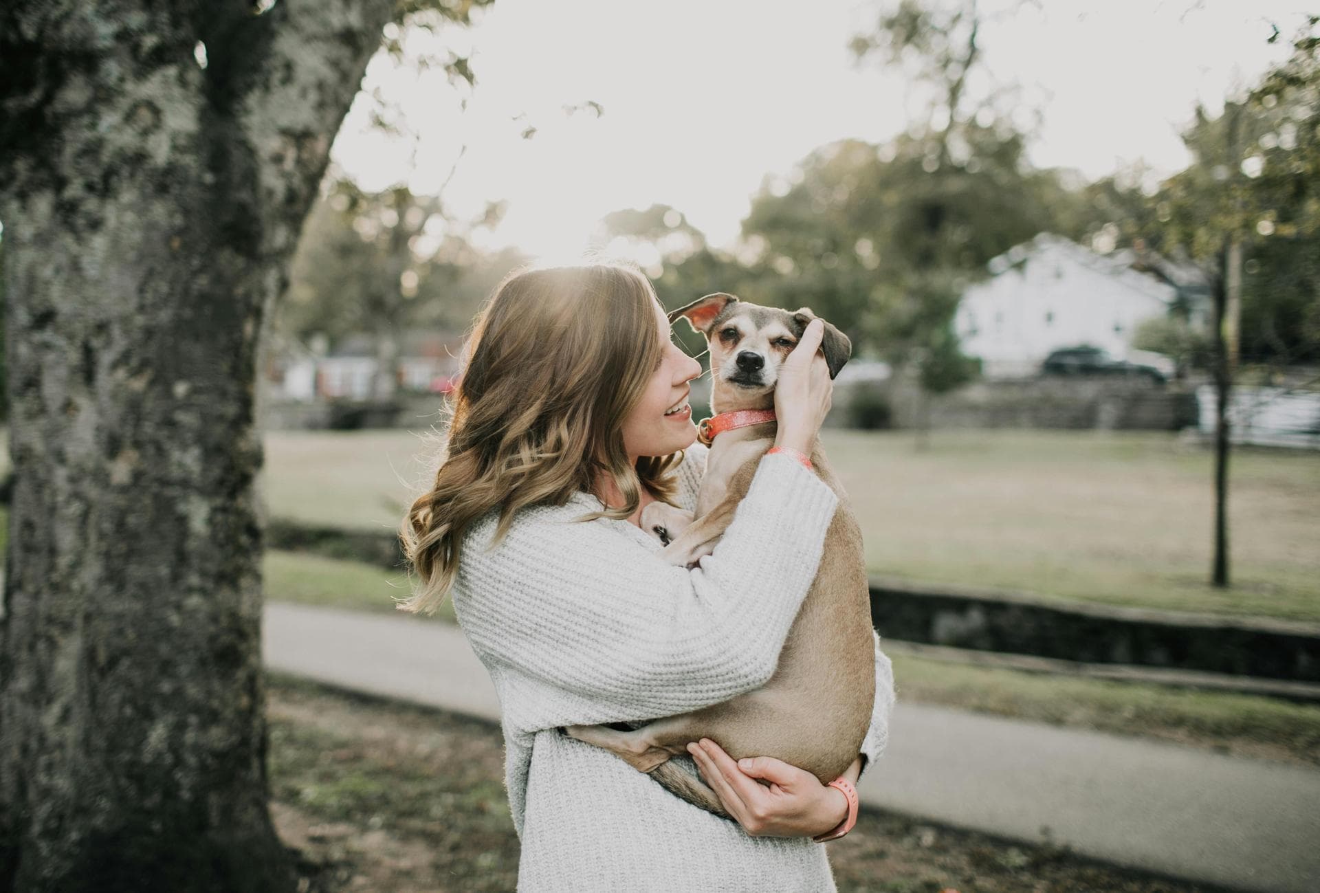 Dog & Cat Vets in Tijeras