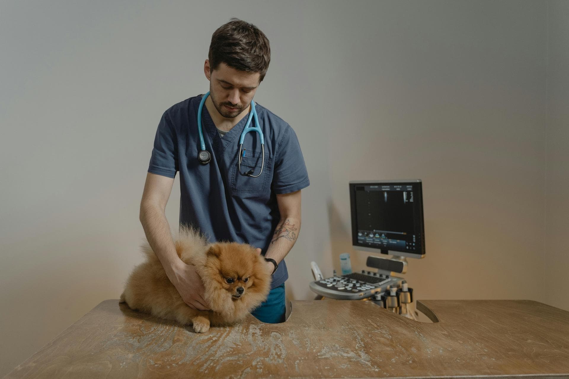 Dog & Cat Vets in Alamogordo