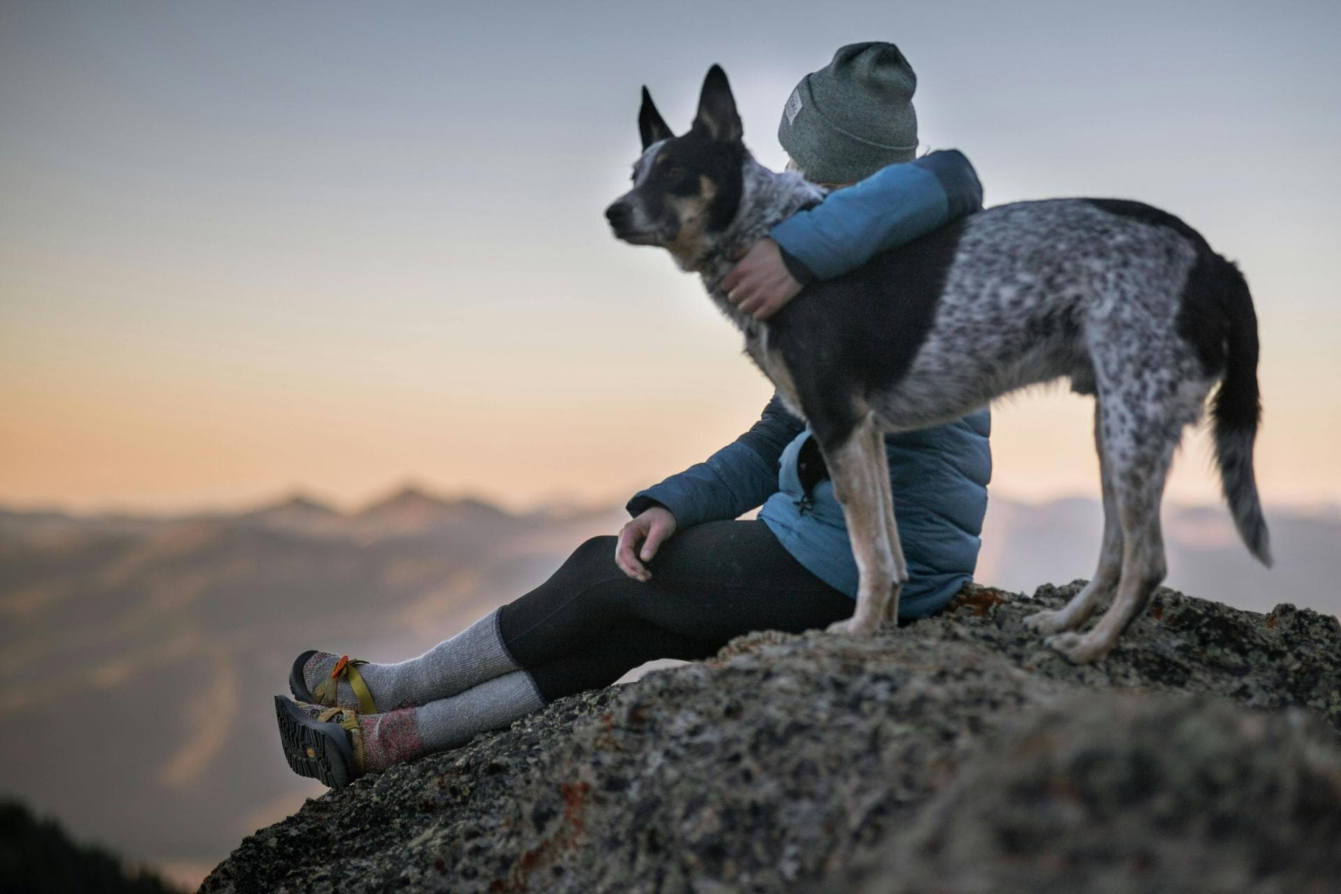 Dog & Cat Vets in Los Lunas